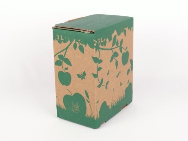 Karton Bag in Box 3 Liter braun-grün, Saftkarton, Faltkarton, Apfelsaft-Karton, Saftschachtel, Schachtel. - Bild 1